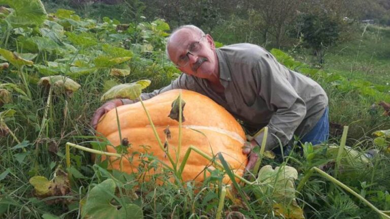 UZGOJIO BUNDEVU OD 70 KILOGRAMA: Fočak ima čime da se pohvali u bašti punoj plodova