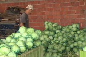 СЕМБЕРСКИ КУПУС ИДЕ У ЕУ: Странци препознали квалитет наших производа, поручено 100 шлепера