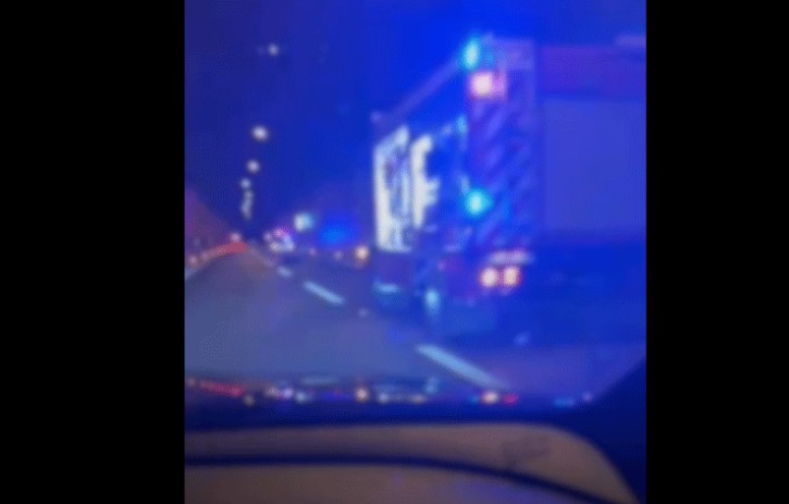 NEZGODA NA AUTOPUTU U HRVATSKOJ: Kamion pokosio medvjeda (VIDEO)
