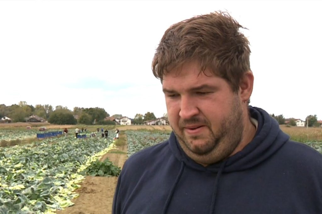 NEČUVENA KRAĐA: Mladom poljoprivredniku ukrali pet tona paprika