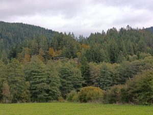 ДАНАС ВЕДРО ВРИЈЕМЕ: Погледајте колике нас температуре очекују