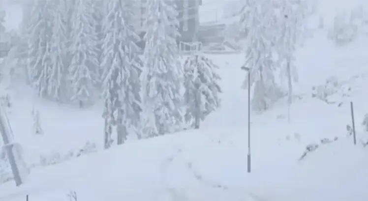 SNIJEG PADA „KAO IZ RUKAVICE“: Pogledajte kako veju pahulje na olimpijskim ljepoticama Jahorini i Bjelašnici (FOTO/VIDEO)