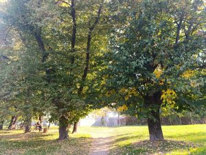 SUNČAN DAN PRED NAMA, ALI JUTRO HLADNO: Evo kakve nas danas temperature očekuju
