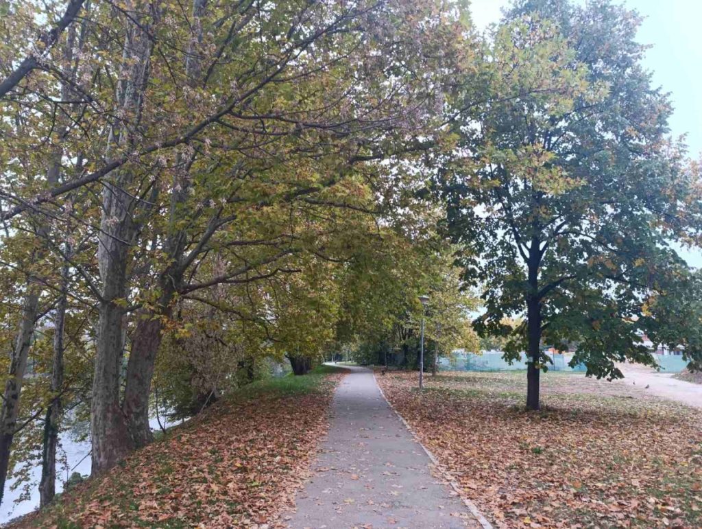 VRIJEME SE IGRA: Meteorolozi najavili vjetar i slabu kišu poslije podne