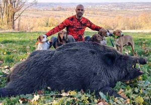 LOVAC IZ PRNJAVORA OBORIO REKORD: Duško odstrijelio vepra teškog preko 200 kilograma