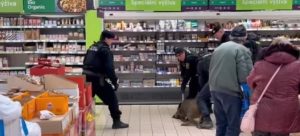 ДИВЉА СВИЊА УШЕТАЛА У СУПЕРМАРКЕТ У ЧЕШКОЈ: Полиција ухватила животињу код одјељка са пецивима (ВИДЕО)