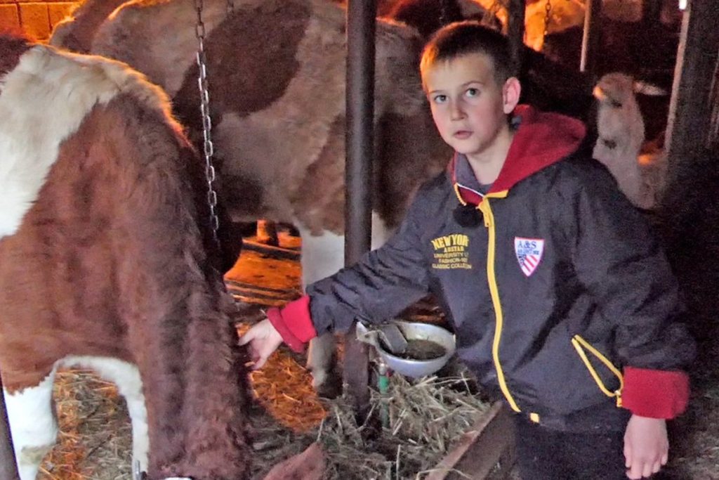 JUTRA PROVODI U ŠTALI SA KRAVAMA: Dječak (11) iz Donjeg Vakufa zna vrijednosti života na selu (VIDEO)