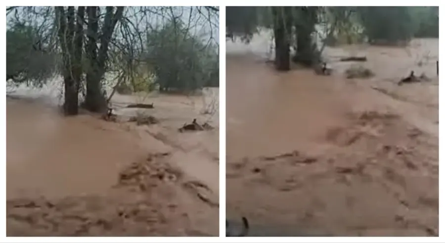 OLUJA U GRČKOJ IZAZVALA HAOS: Poplavljeni putevi, zatvorene škole