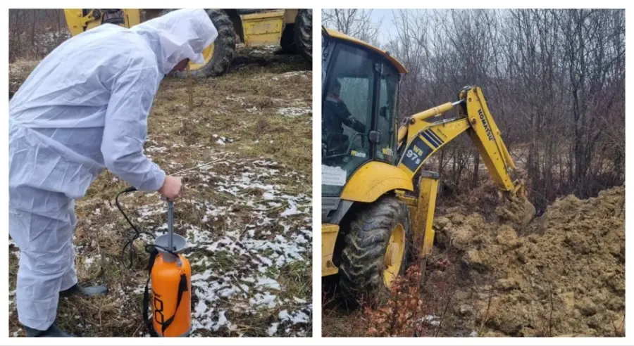 POTVRĐEN ANTRAKS KOD DVIJE KRAVE U ŠIPOVU: Ministarstvo poljoprivrede upozorilo –  Situacija izuzetno ozbiljna