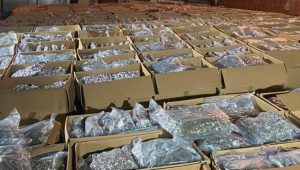 POZNATA IMENA UHAPŠENIH: Najveća zaplijena droge u Srbiji, pronađeno 5 tona marihuane (FOTO)