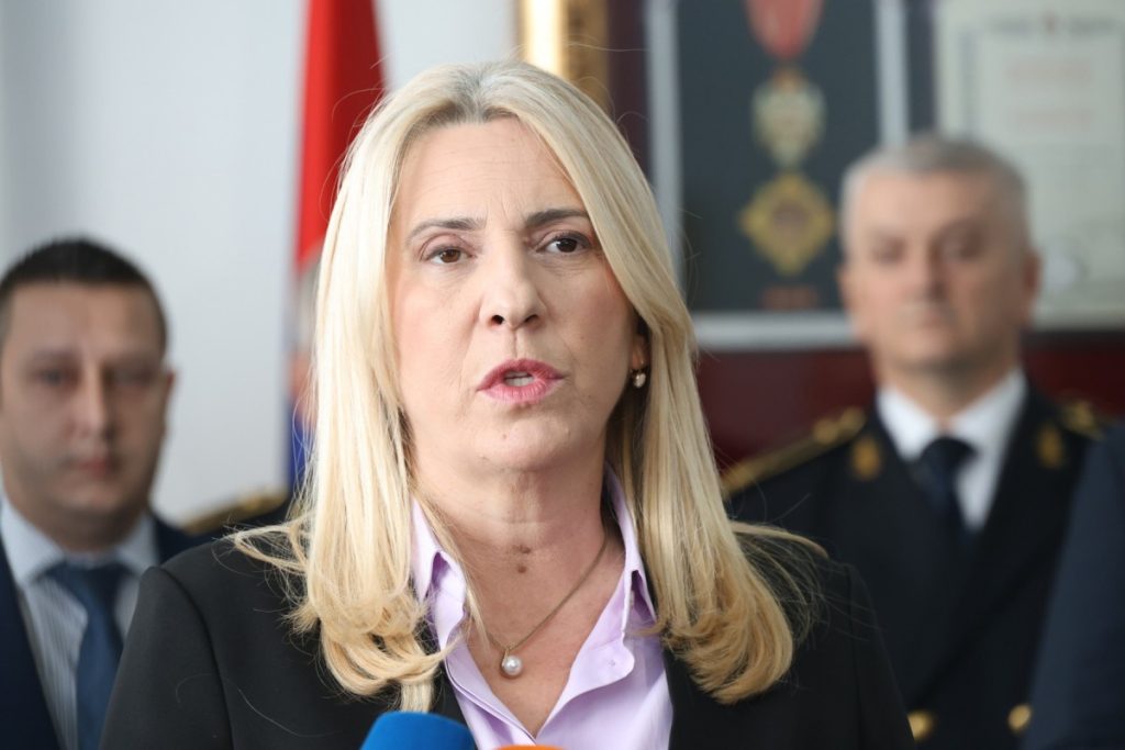 ЦВИЈАНОВИЋ: У БиХ не постоји исламофобија, већ србофобија