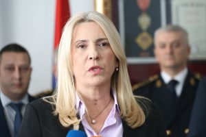 ЦВИЈАНОВИЋ: У БиХ не постоји исламофобија, већ србофобија