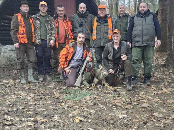 LOVCI ODSTRIJELILI VUKA U NASELJU LIPAC: Dobojlije pokazale vještinu i brzinu