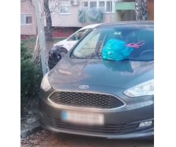 „KONJINO DŽABA TI AUSTRIJA“: Banjalučani ostavili poruku bahatom strancu (VIDEO)