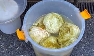 RASOL KAO LIJEK: Otkrivamo zašto su ga naši stari pili svako jutro