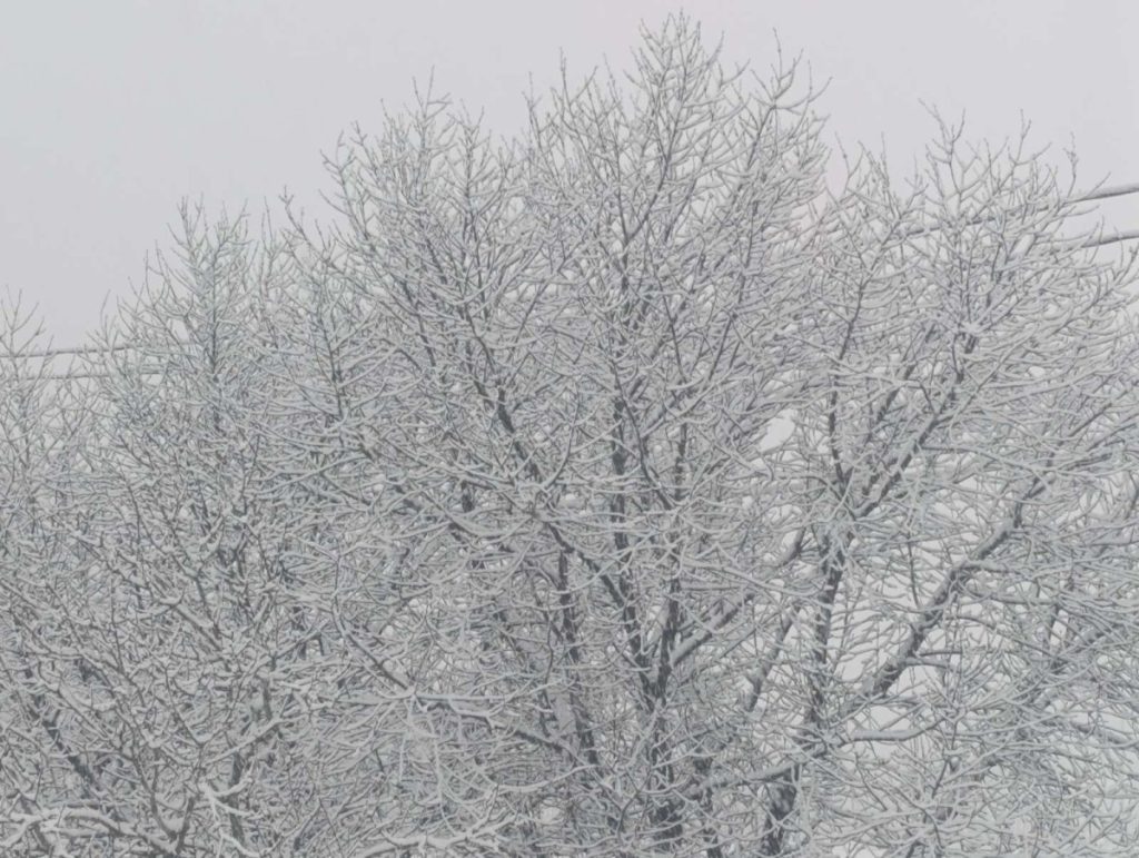 ZIMA UDARA PUNOM SNAGOM: Meteorolozi najavili snijeg do pola metra