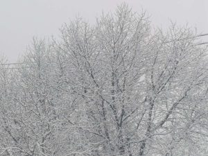 STIŽE LI ZIMA BEZ SNIJEGA?  Nova prognoza za Balkan donosi iznenađenje