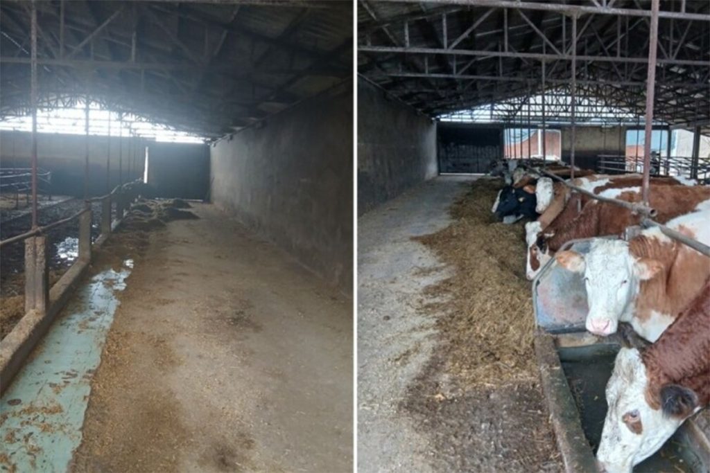 ŠTALE OSTALE PRAZNE: Farma iz Gradiške ugasila proizvodnju mlijeka, krave prodali u Federaciju