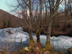 ИСКОРИСТИТЕ СУНЧАН ДАН: Метеоролози за данас најавили прољетне температуре