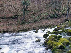 PRAVI PROLJEĆNI DAN: Sunčano u većini krajeva, najtoplije u ovim gradovima