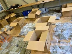 U KAMIONU PREVOZIO 90 KILOGRAMA MARIHUANE: Uhapšen muškarac iz Ivanjice