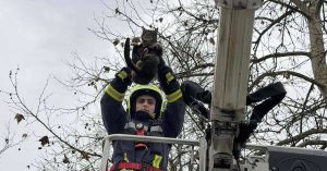 И СПАШАВАЊЕ МАЧАКА ЈЕ ЊИХОВ ПОСАО: Ватрогасна бригада у Бањалуци често има необичне интервенције
