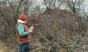 ПОЉОПРИВРЕДНИЦИ ОДУСТАЈУ ОД ПОСЛА: На хиљаде хектара воћњака у Српској напуштено