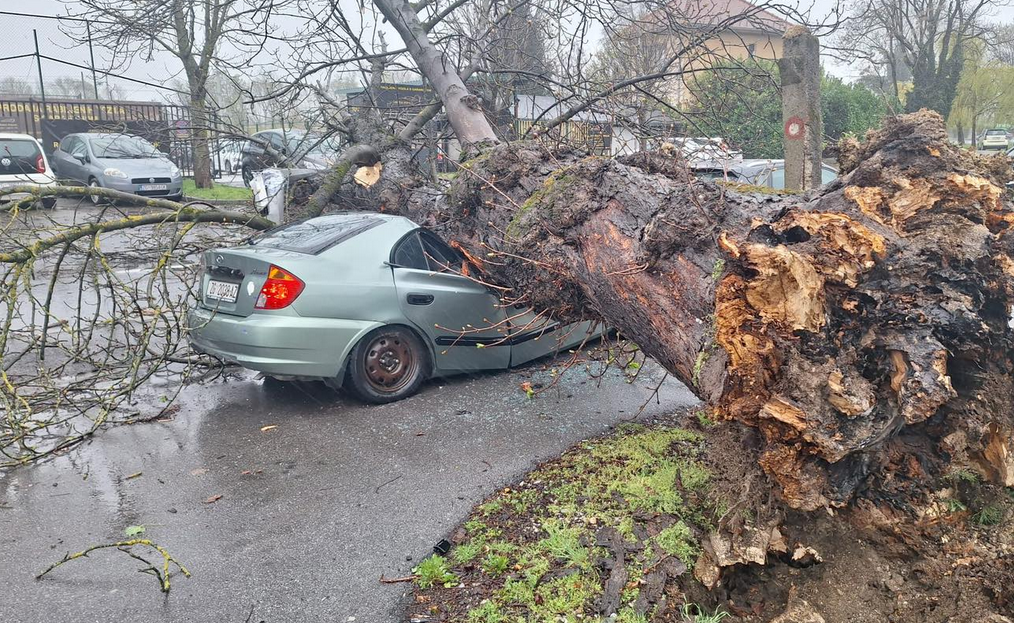 STABLO ZDROBILO AUTOMOBIL: Stravične posljedice nevremena u Zagrebu (FOTO)