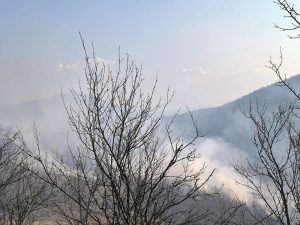 ЗАБИЉЕЖЕНО 20 ПОЖАРА НА ОТВОРЕНОМ ЗБОГ ПАЉЕЊА НИСКОГ РАСТИЊА, ТРАВЕ И ОТПАДА: Ватрогасно-спасилачка бригада Бањалука имала пуне руке посла (ФОТО)