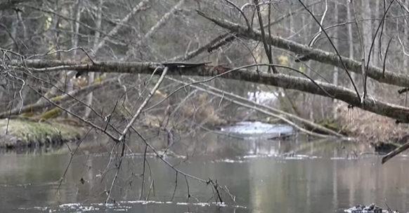 JEDNA OSOBA UPALA U RIJEKU: Potraga u toku