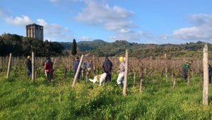 ПОСЛУШАЊЕ ЂАЧКО У ВРТОВИМА ХИЛАНДАРА: Ово је једина школа у Србији чији ученици сваке године ходочасте на Свету Гору