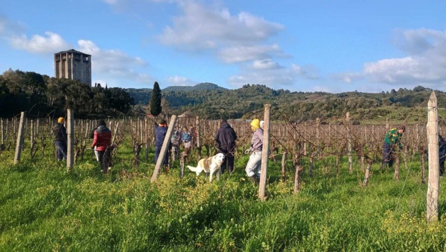 POSLUŠANJE ĐAČKO U VRTOVIMA HILANDARA: Ovo je jedina škola u Srbiji čiji učenici svake godine hodočaste na Svetu Goru
