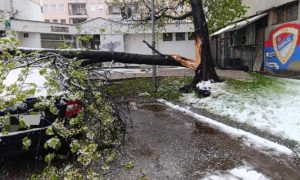 SNIJEG IZAZVAO BROJNE PROBLEME: Vatrogasci u Banjaluci imali pune ruke (FOTO)