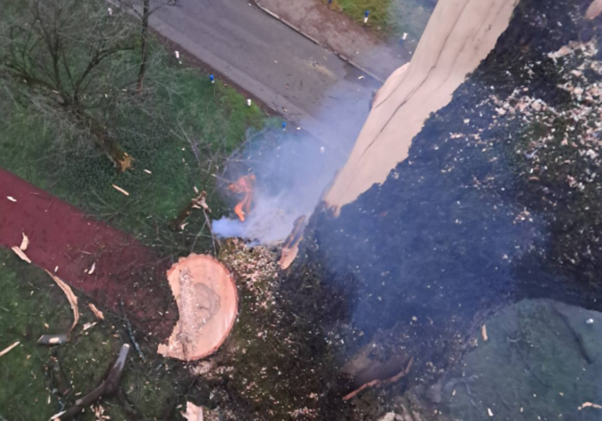 KIJAMET U BANJALUCI: Grom udario u drvo, vatrogasci morali intervenisati (FOTO/VIDEO)