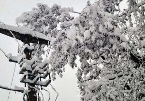 50.000 ЉУДИ БЕЗ СТРУЈЕ: Снијег изазвао колапс на електромрежи у БиХ