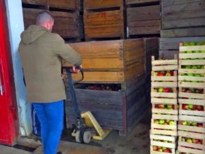 DIVLJANJE CIJENA PRITISKA POLJOPRIVREDNIKE U SRPSKOJ: Traže dodatnih 0,5 KM subvencija po litru goriva