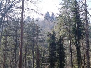 STIŽE SNAŽNI PRODOR SA SJEVEROISTOKA: Kakvo nas vrijeme čeka narednih dana u BiH