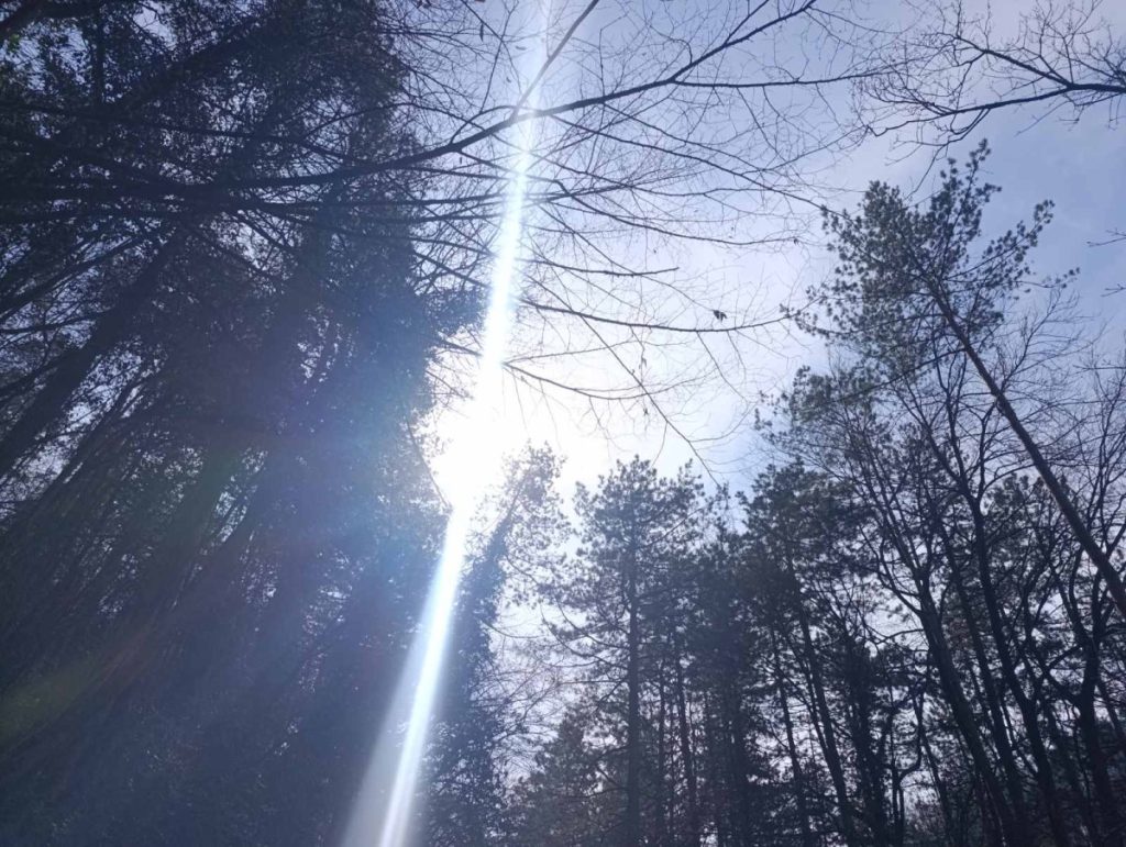 DANAS NATPROSJEČNO TOPLO: Meteorolozi najavili prave proljetne temperature