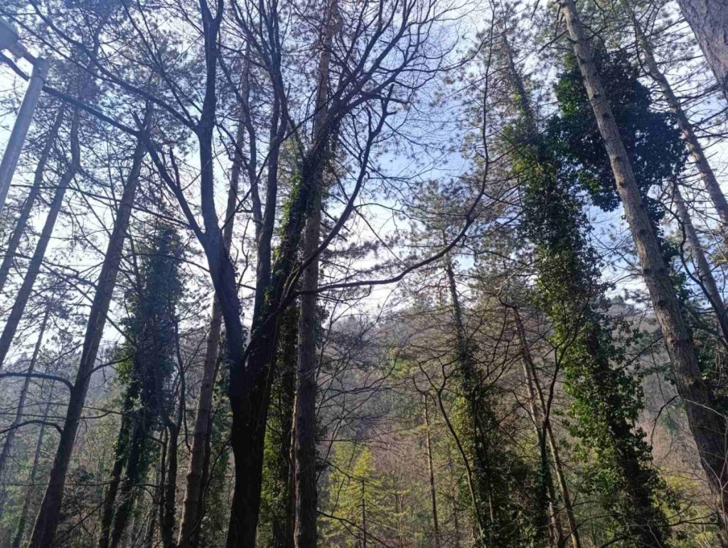 SUTRA PROMJENLJIVO VRIJEME: Meteorolozi u ovim krajevima najavili kišu