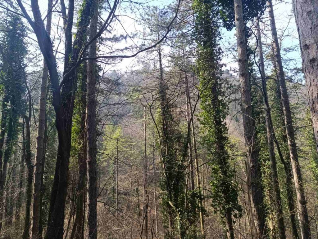 DUGOROČNA VREMENSKA PROGNOZA: Stiže kišni talas u Srpsku, a evo kada možemo očekivati razvedravanje