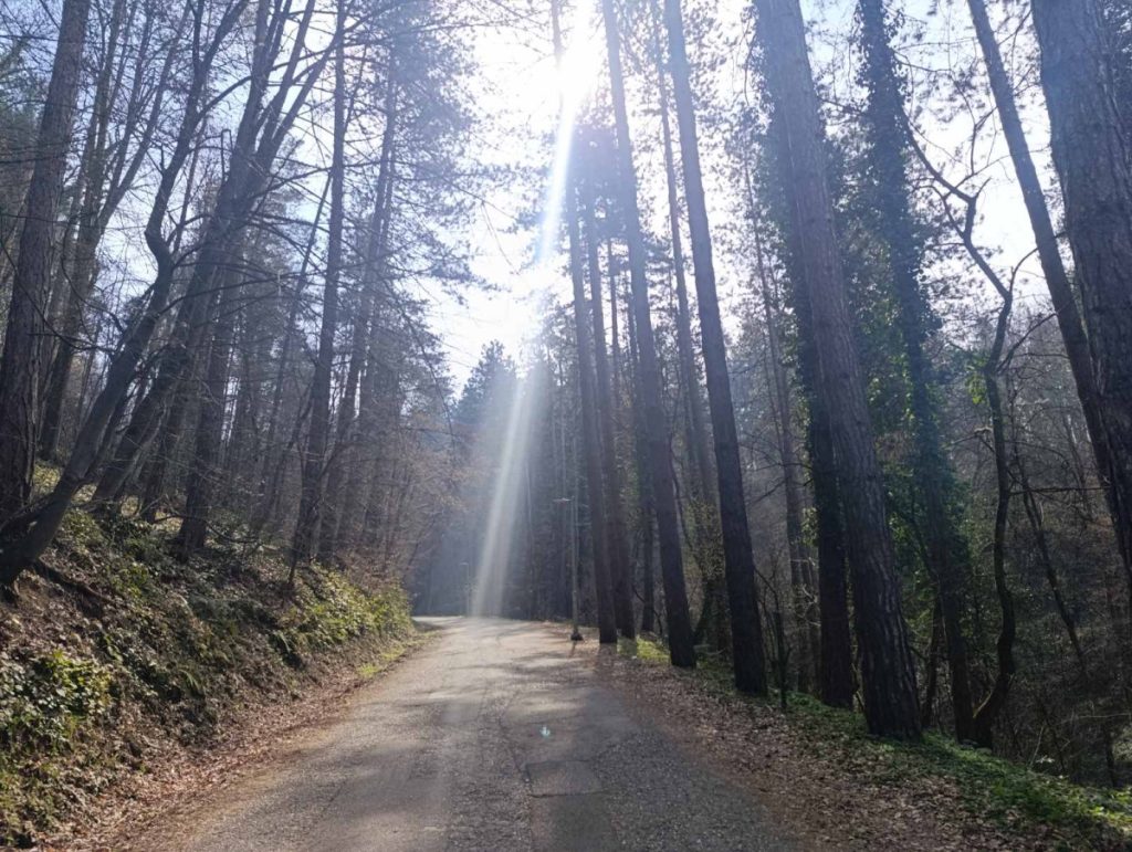 ВРИЈЕМЕ СУТРА: Метеоролози најавили натпросјечно високе температуре