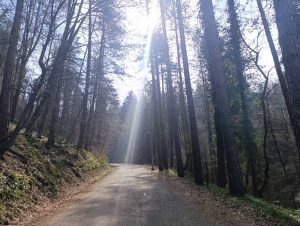 ВРИЈЕМЕ СУТРА: Метеоролози најавили натпросјечно високе температуре