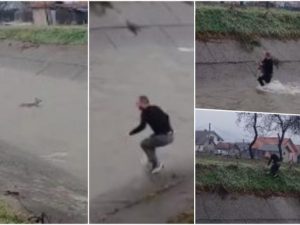 СВАКА ЧАСТ МОМЧИНО: Младић у Братунцу спасио срну из набујале и ледене ријеке (ВИДЕО)