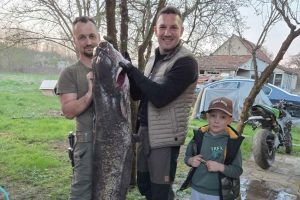 НЕСВАКИДАШЊИ УЛОВ: Из Укрине извадио сома капиталца од 42 килограма