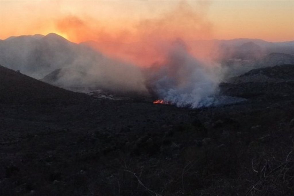 ВАТРОГАСЦИ НА ТЕРЕНУ:  Пожар на градској депонији уз магистрални пут Требиње-Херцег Нови