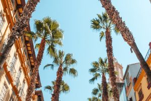 DETALJI KRVAVE PUCNJAVE U BARSELONI: Škaljarac teško ranjen pred ženom i djetetom