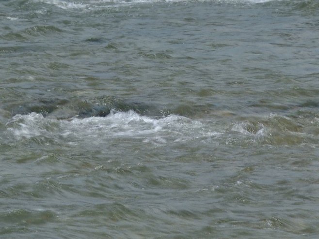 PRONAĐENE LJUDSKE KOSTI U SAVI: Policija proučava lobanju