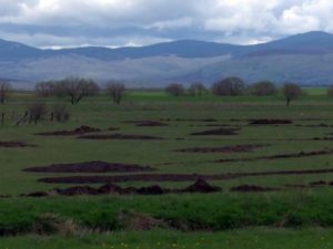 MJEŠTANI JASNI: Glamočani protiv Helezove inicijative i gradnje vojnog poligona
