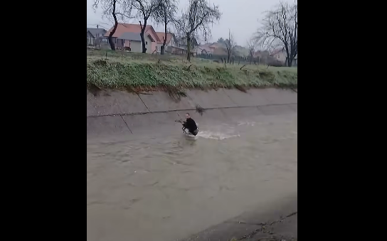 SVAKA ČAST MOMČINO: Mladić u Bratuncu spasio srnu iz nabujale i ledene rijeke (VIDEO)