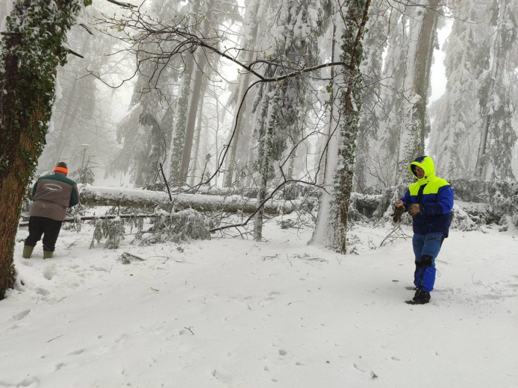 MRAKOVICA ZATVORENA ZA POSJETIOCE: Opasnost od pada stabala i snijega (FOTO)